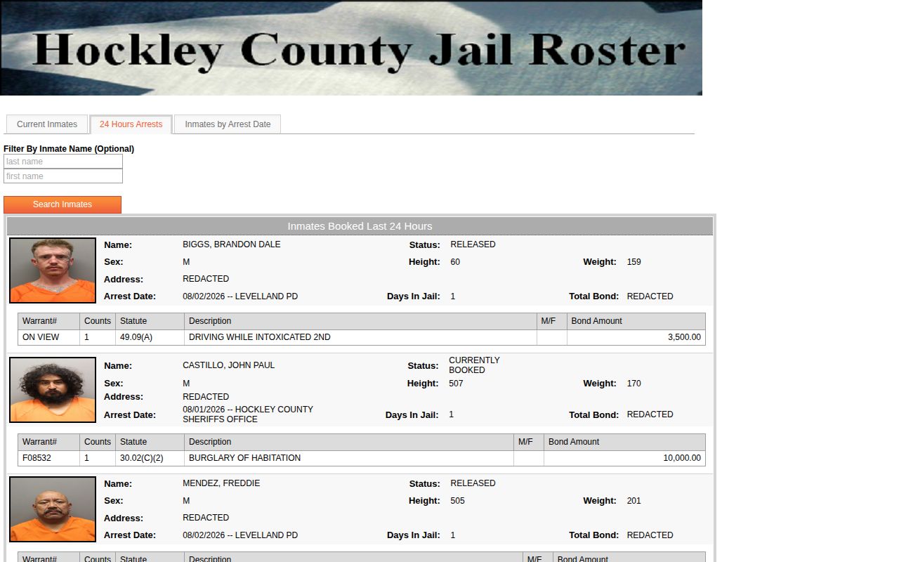 Hockley County 24 hour arrests view distinguished from jail releases