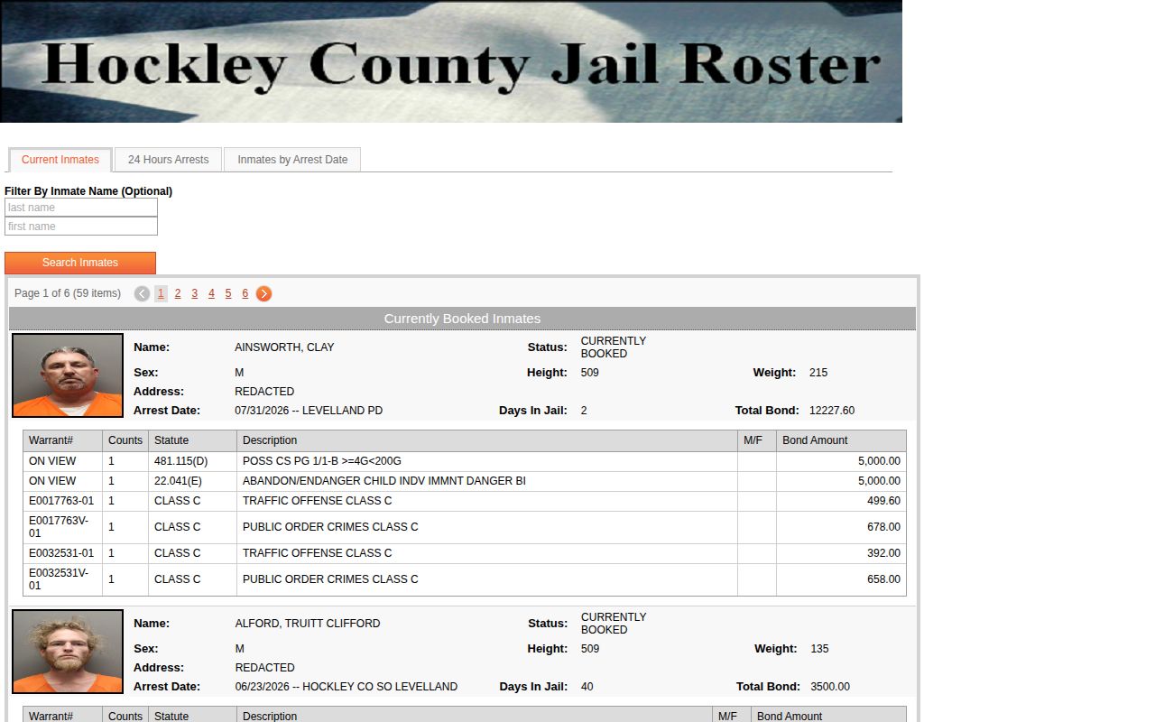 Hockley County Jail current custody and release search fields